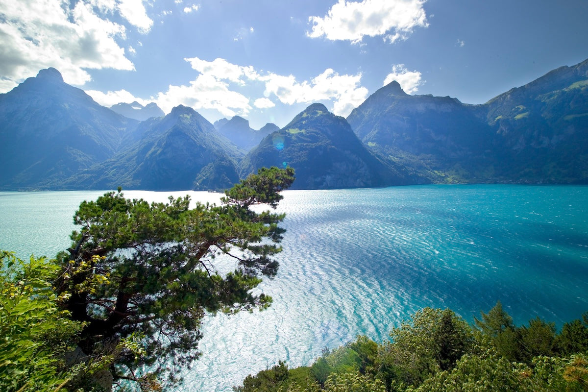 Der Urnersee. Fotografie: F.X. Brun